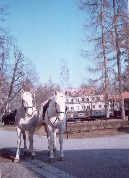 slunce nad hlavou - bude se dobře šlapat